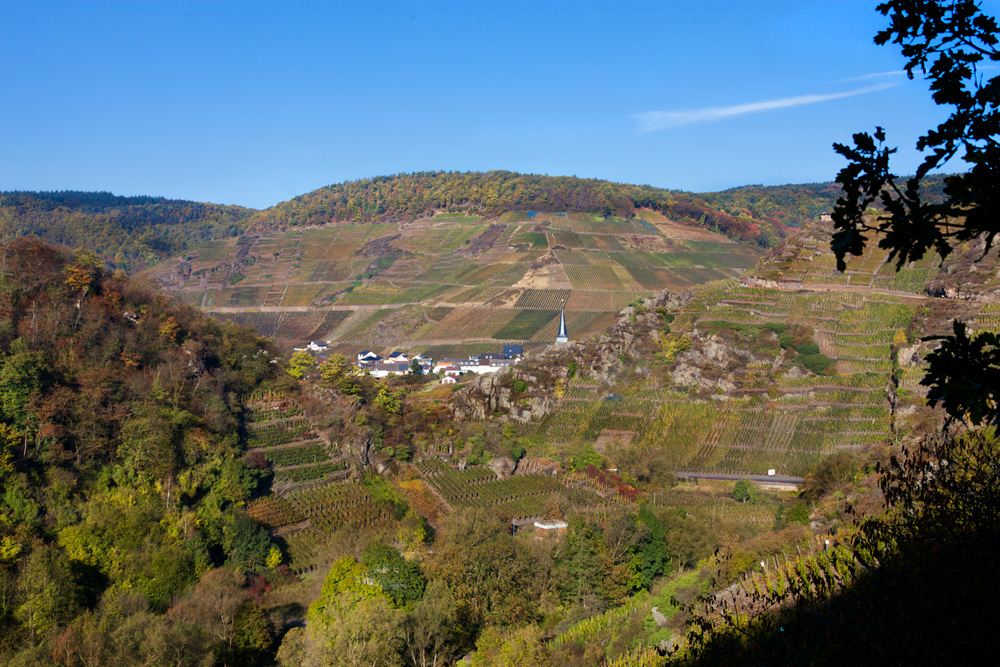 Blick nach Mayschoß