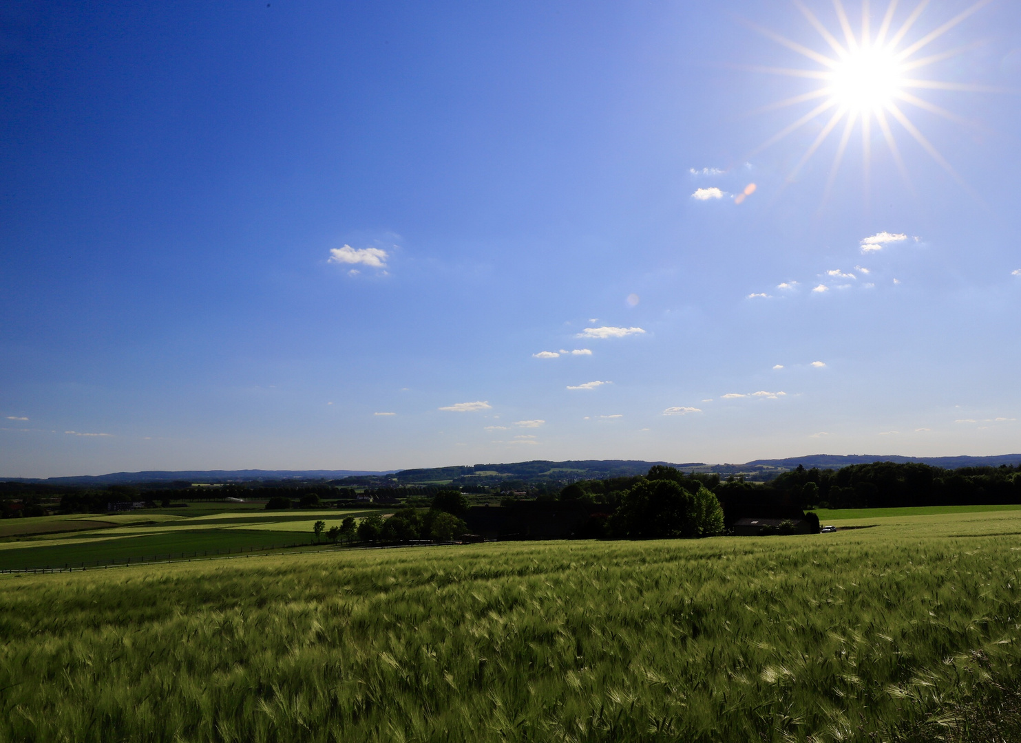 Blick nach Melle