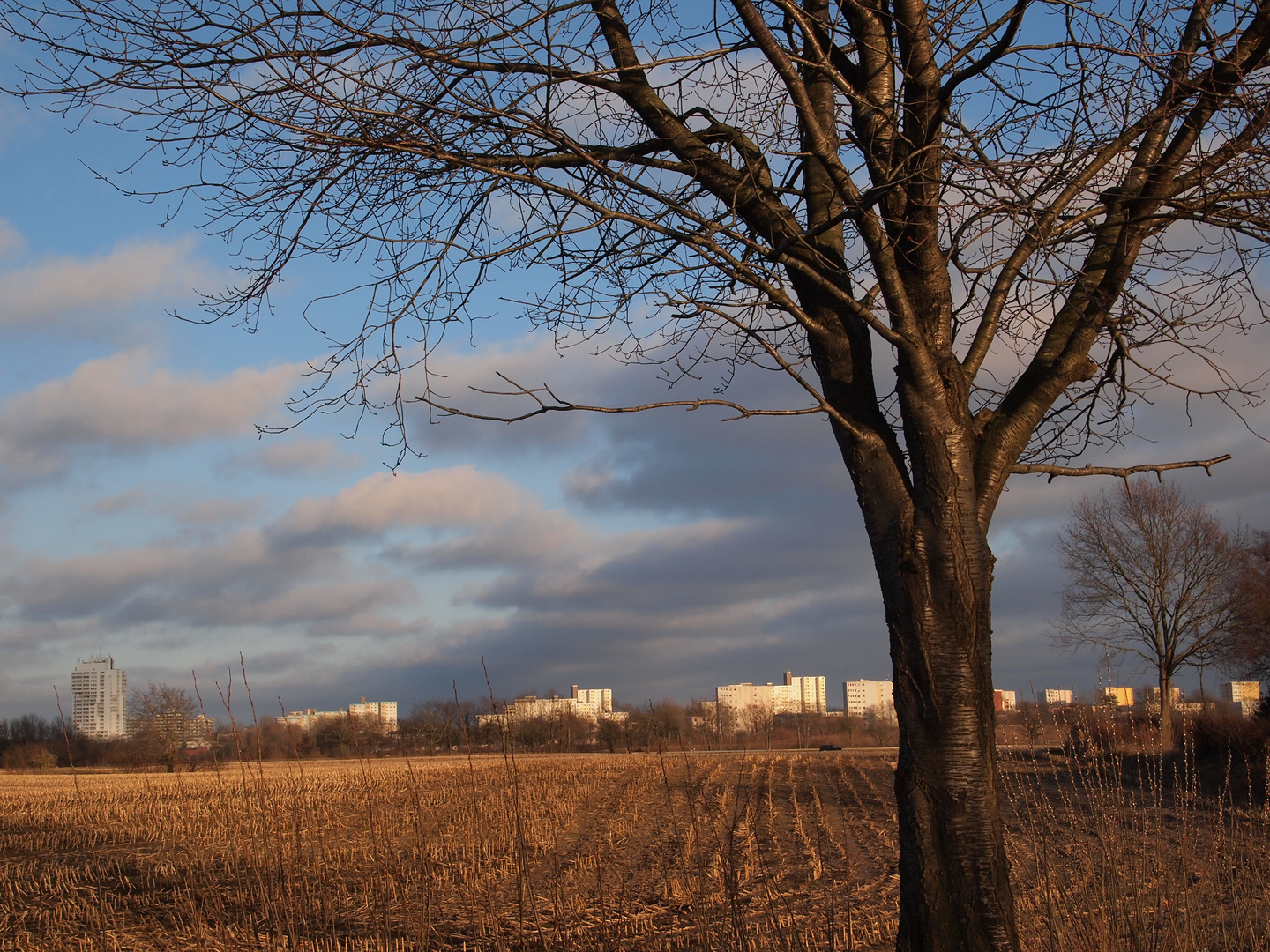 Blick nach Mettenhof