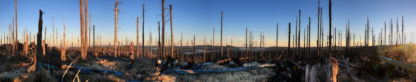 Blick nach Nord-Ost