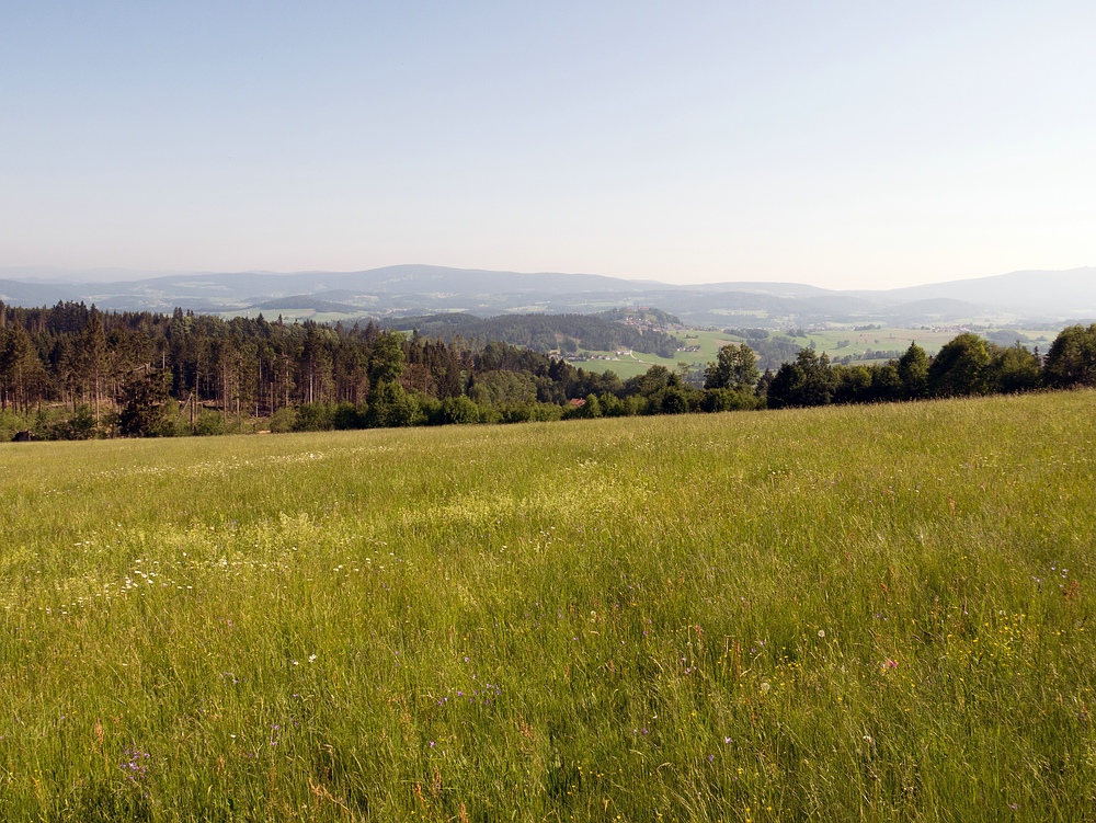 Blick nach Norden