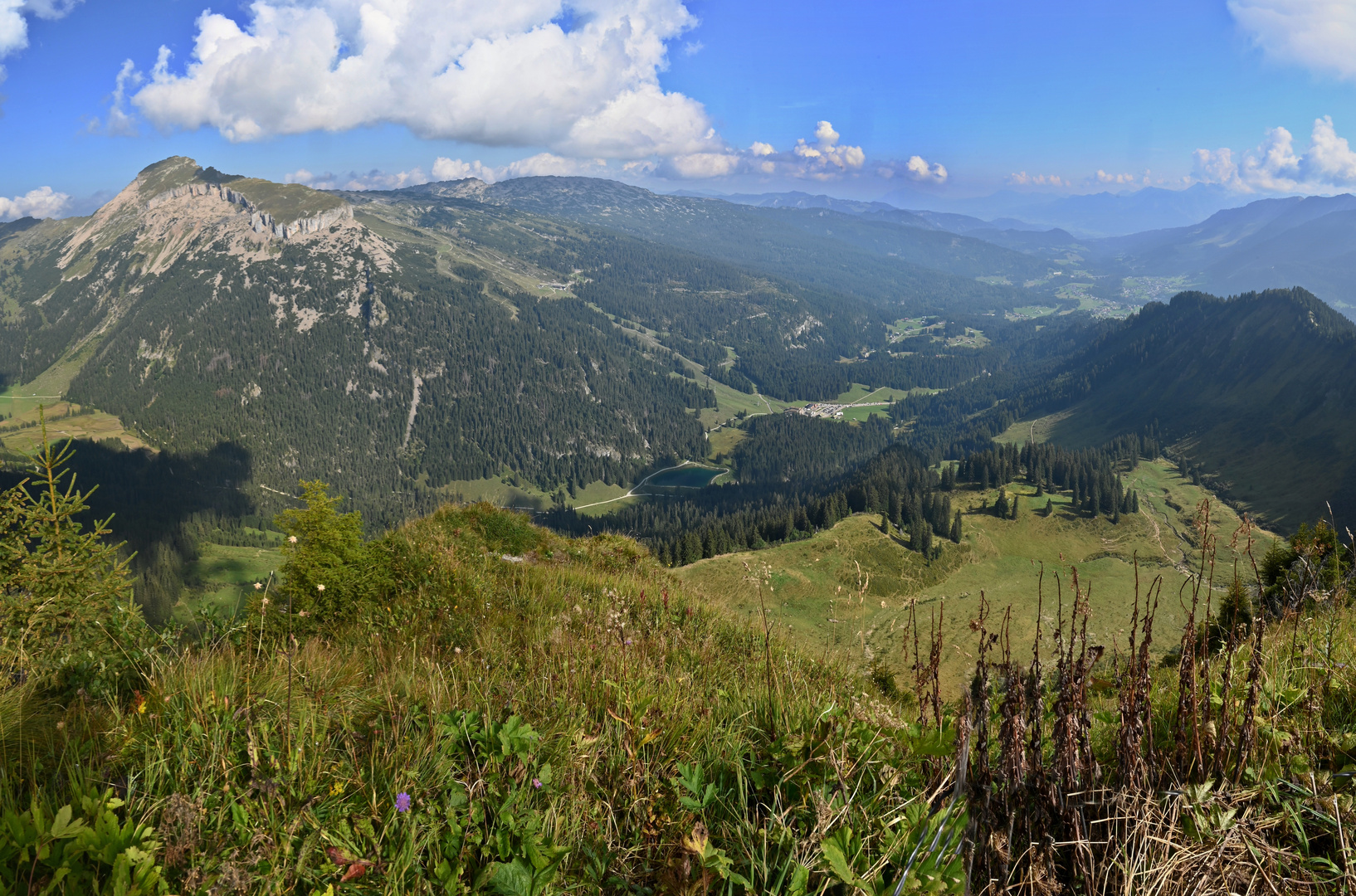 Blick nach Nordwesten vom Walmendinger Horn