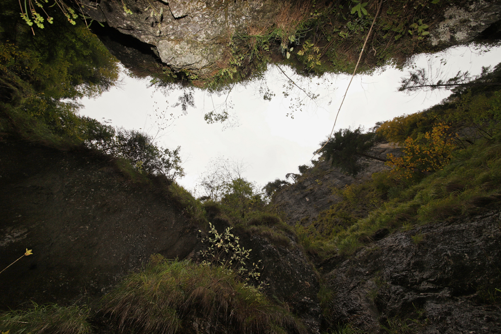 Blick nach oben (2018_09_29_EOS 6D Mark II_8151_ji)