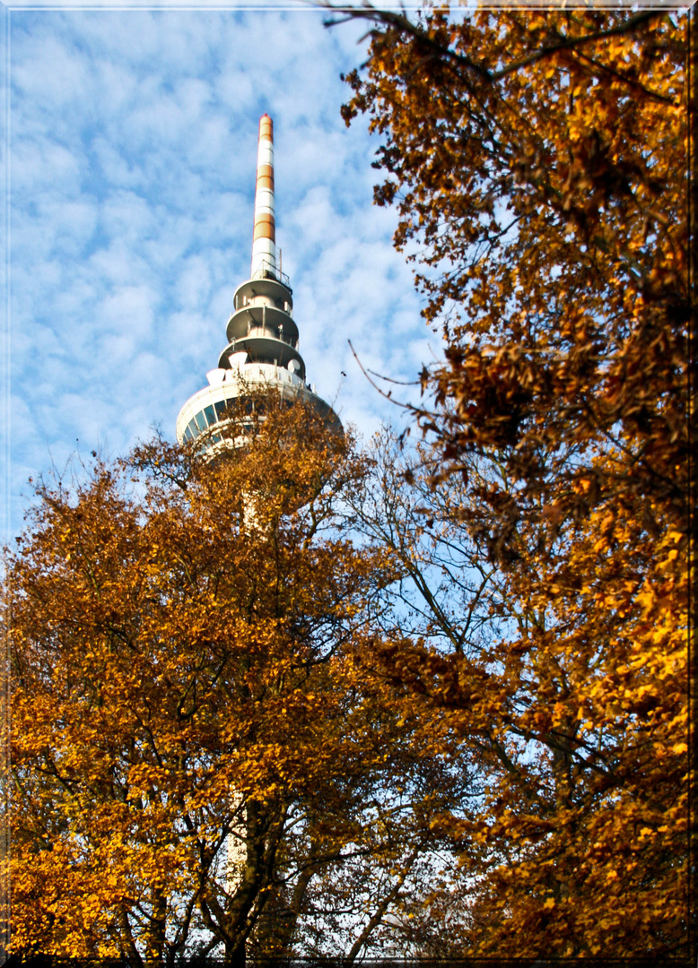 BLICK NACH OBEN