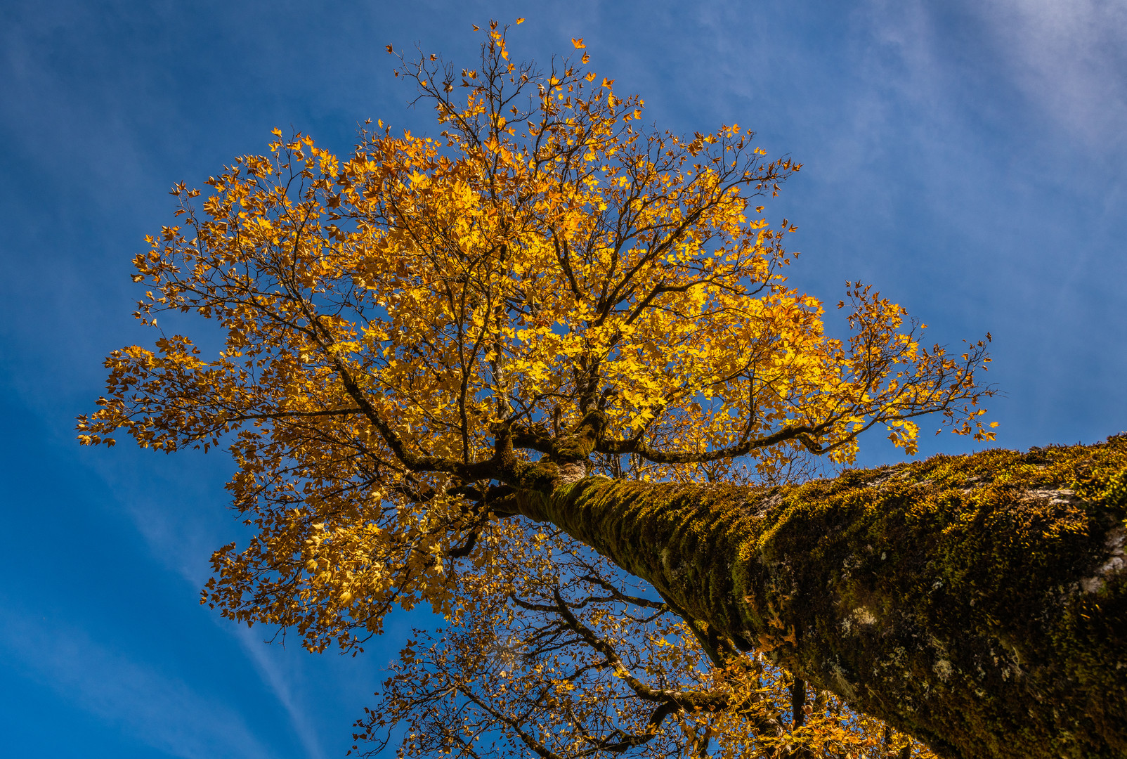 Blick nach oben