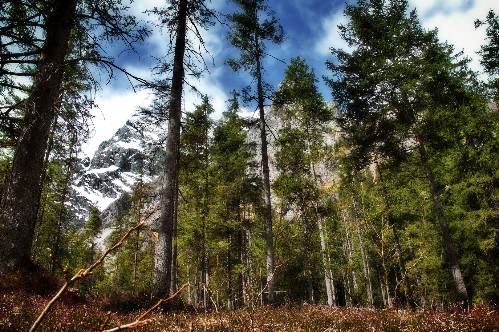 Blick nach oben