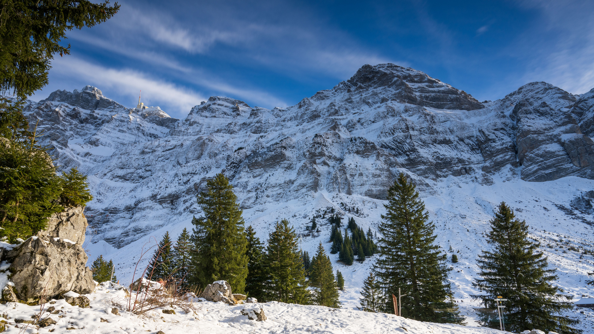 Blick nach oben