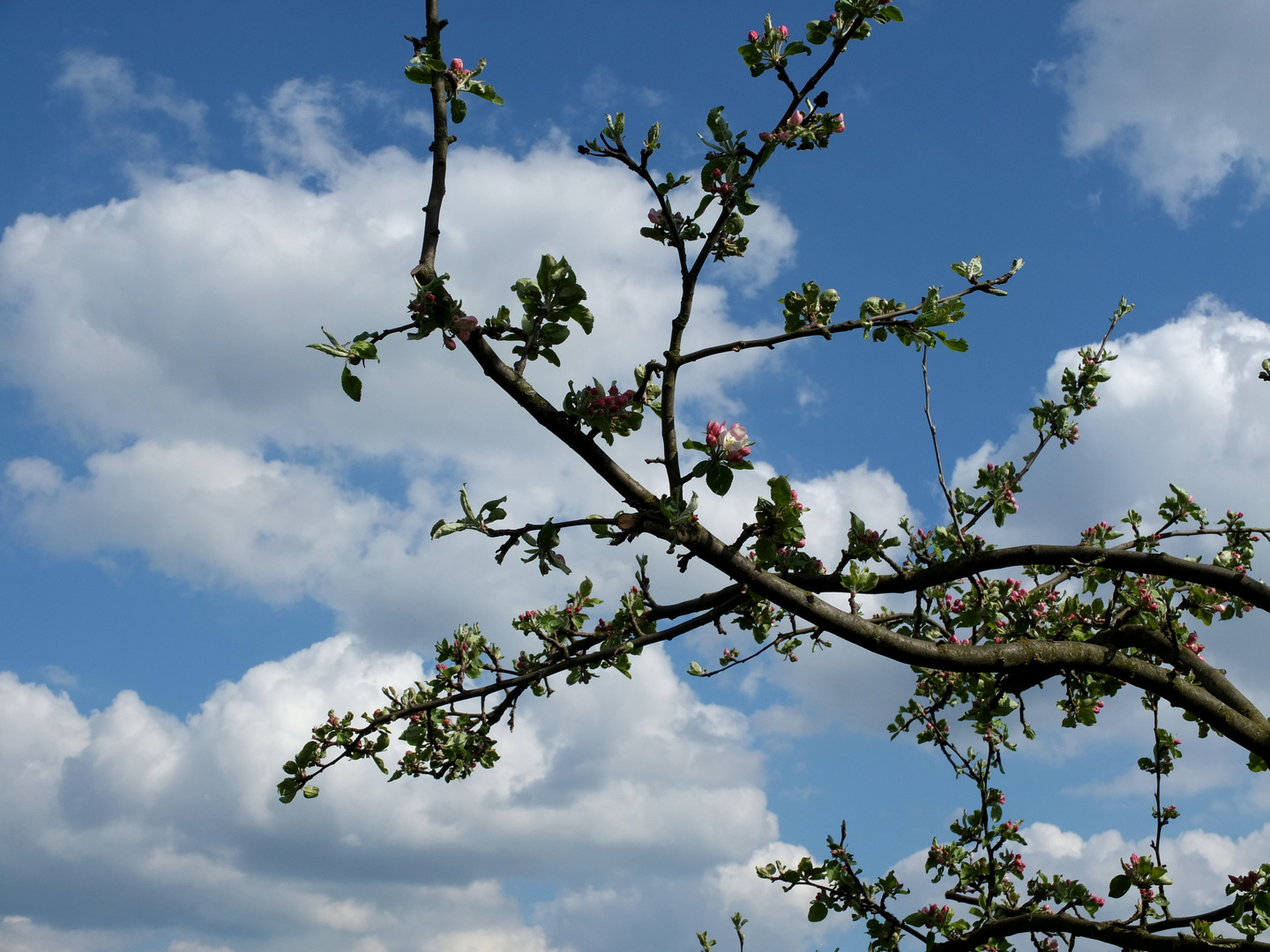 Blick nach oben