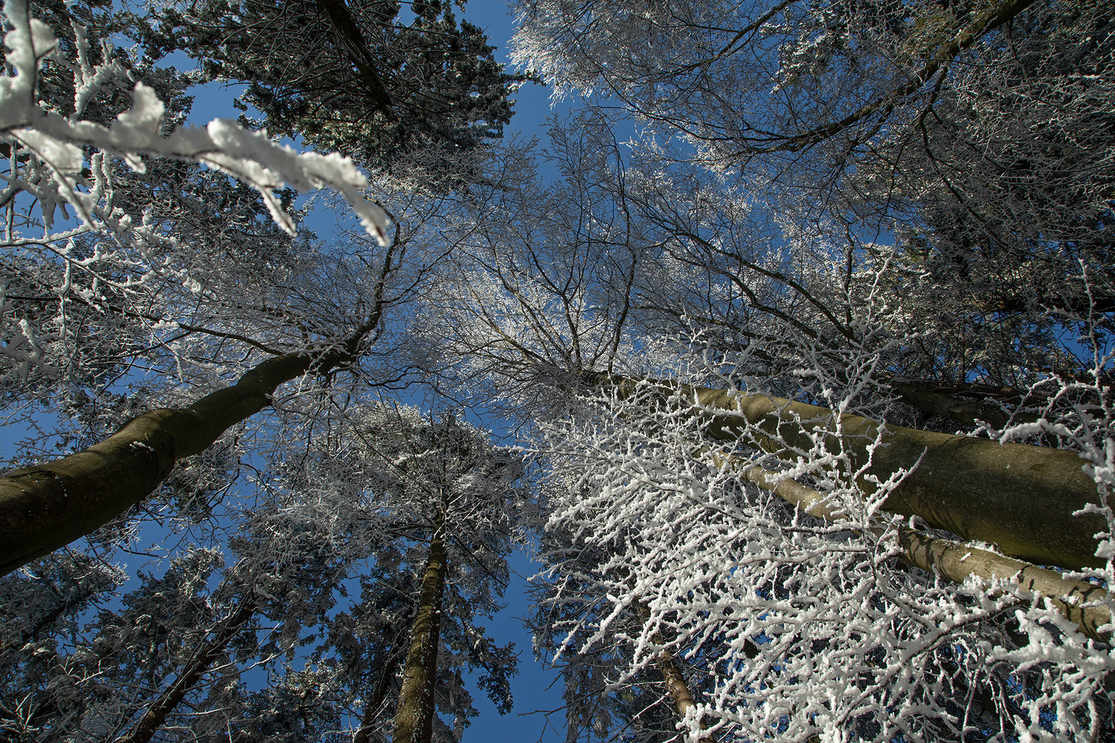 Blick nach oben