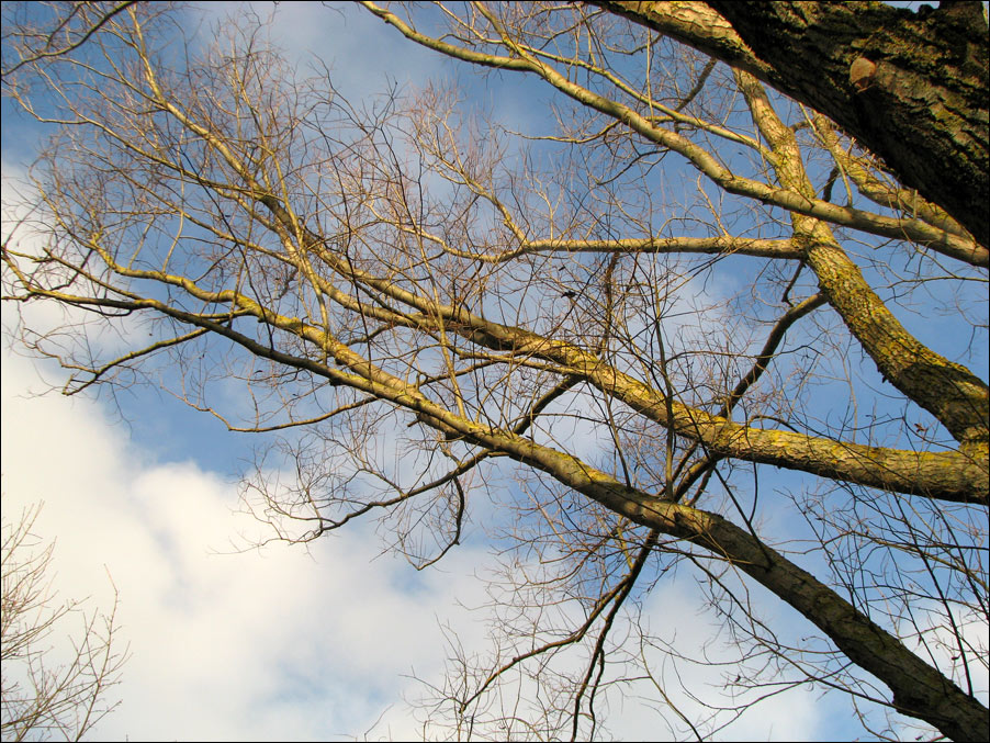 Blick nach oben