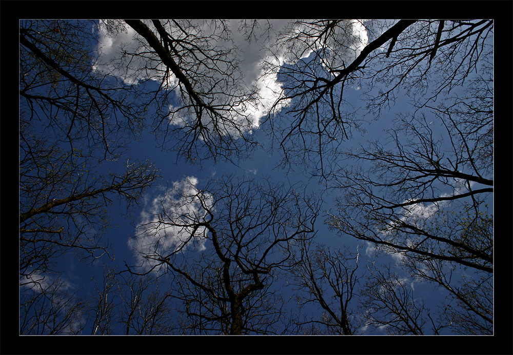 Blick nach oben