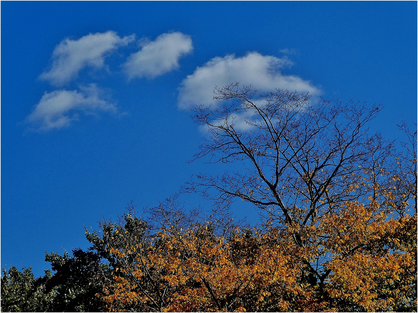 Blick nach oben