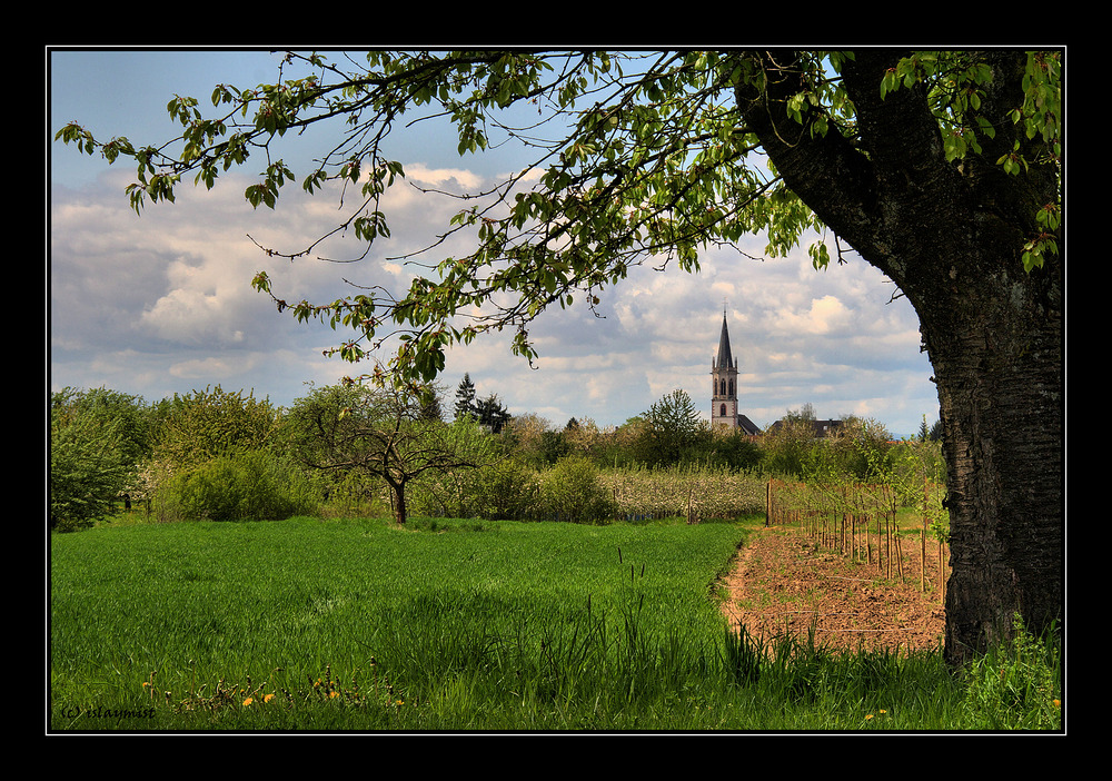 ..blick nach oberkirch..