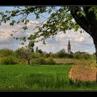 ..blick nach oberkirch..