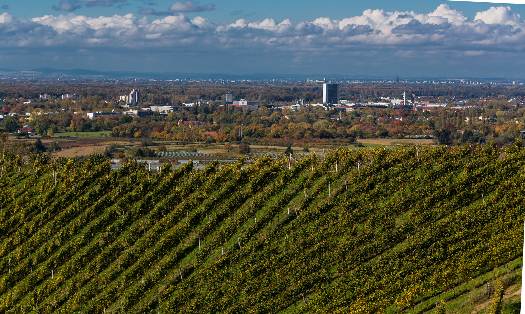 Blick nach Offenburg