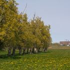 Blick nach Peenemünde