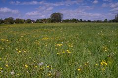 Blick nach Potzlow