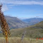 Blick nach Queenstown