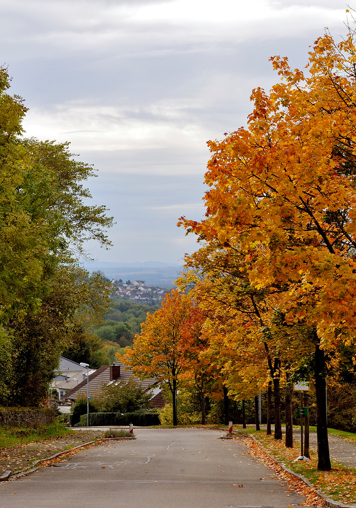 Blick nach Rheinweiler (Landkr. Lörrach)