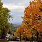 Blick nach Rheinweiler (Landkr. Lörrach)