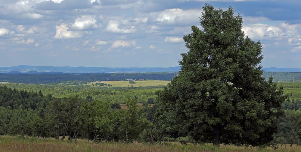 Blick nach Sachsen von der Naklerov vysina bei sehr guter Sicht