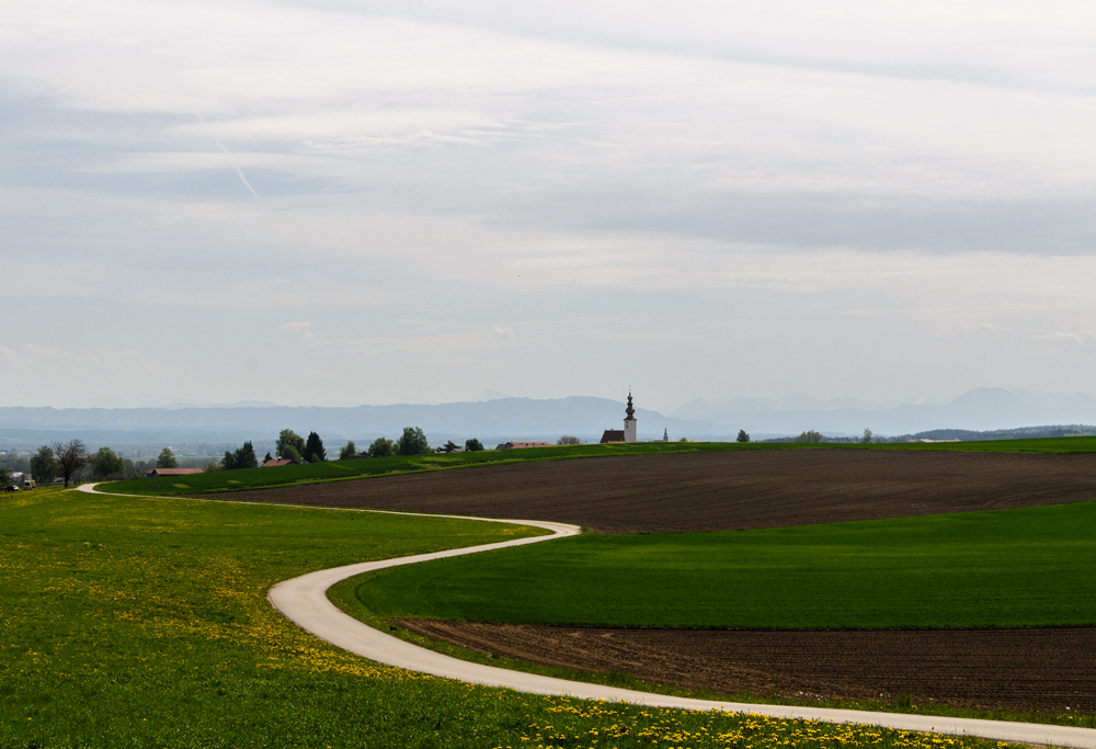 Blick nach Salzburg