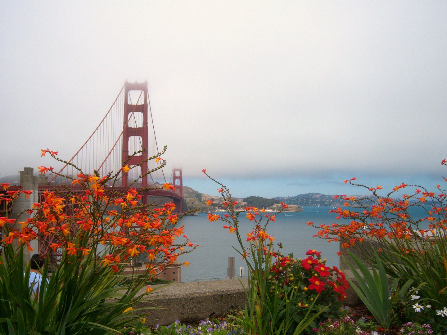 Blick nach Sausolito...San Francisco Bay & Golden Gate Bridge