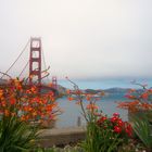 Blick nach Sausolito...San Francisco Bay & Golden Gate Bridge