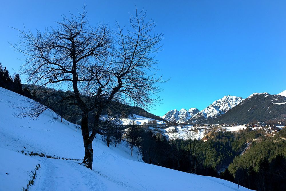 Blick nach Schönberg und zu den Kalkkögeln