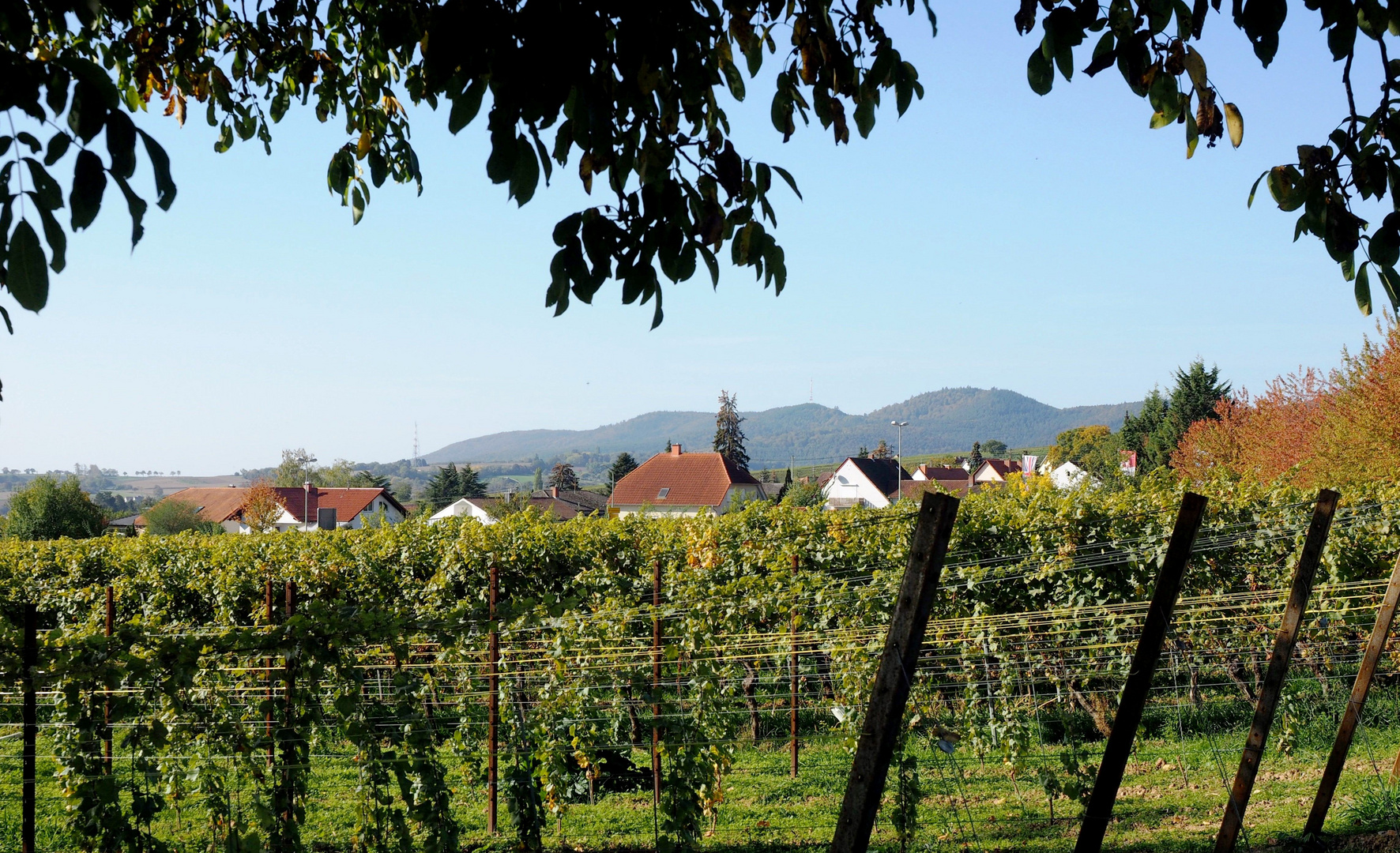 Blick nach Schweigen