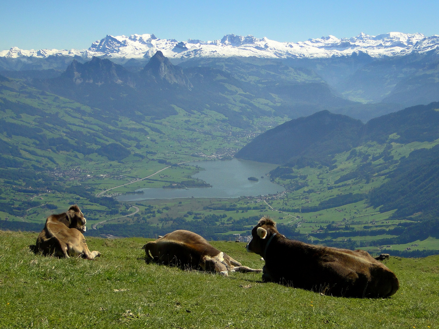 Blick nach Schwyz