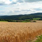 Blick nach Stedtfeld