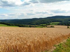 Blick nach Stedtfeld