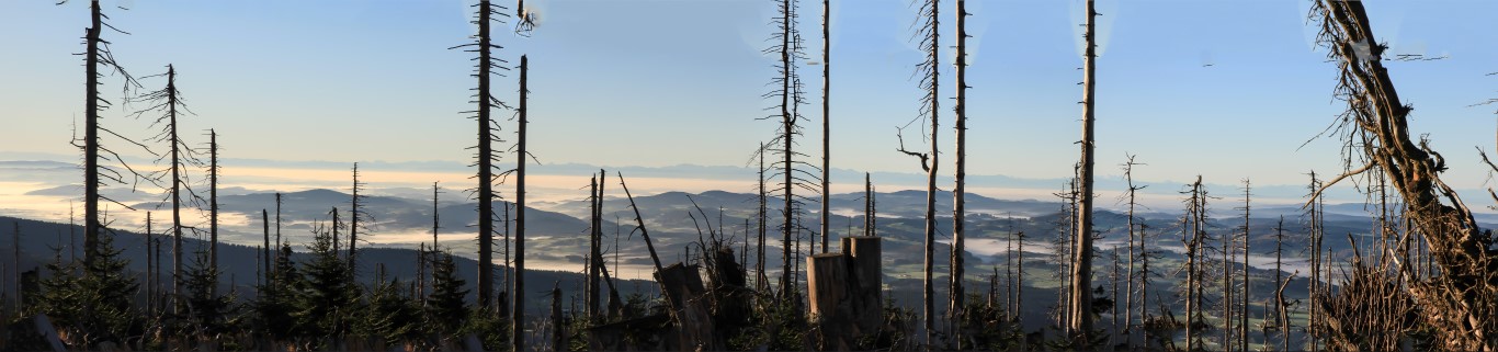 Blick nach Süden