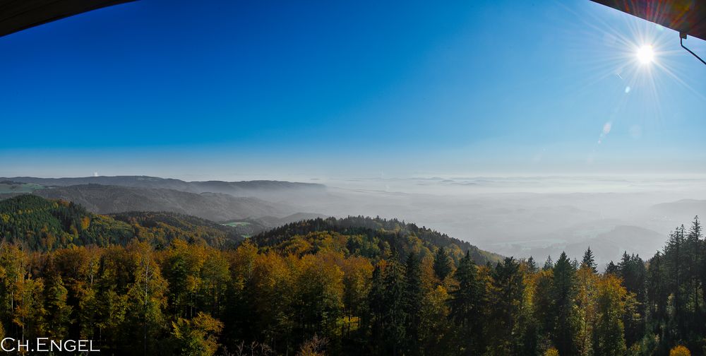 Blick nach Süden Hohe Mör