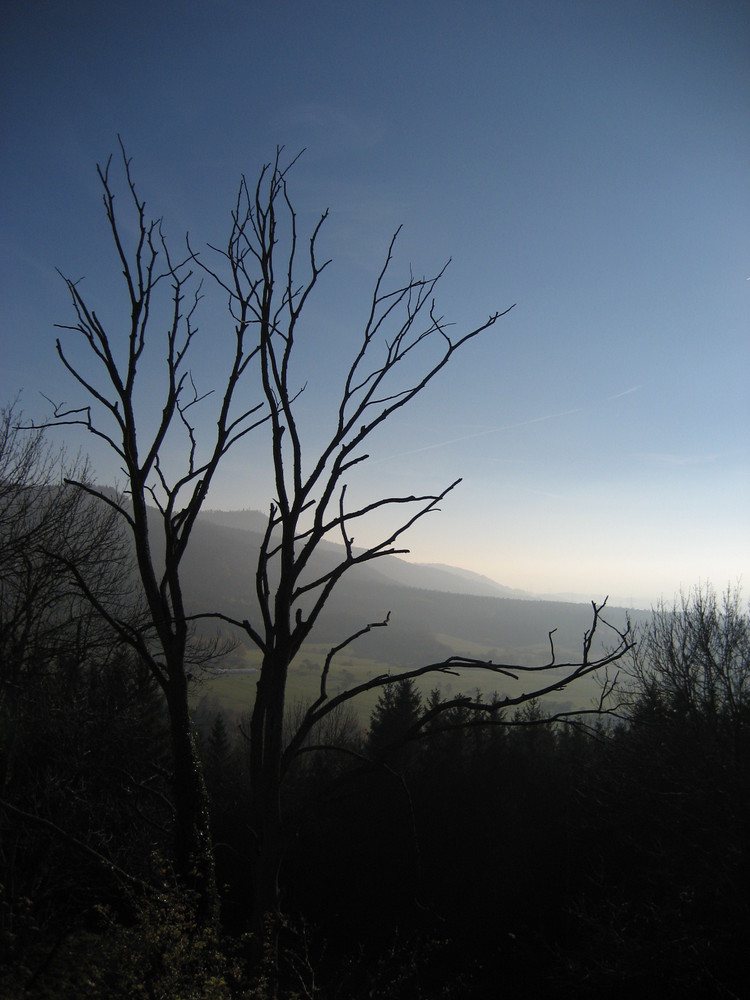 Blick nach Südwest