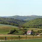 Blick nach südwesten bei meinem Garten