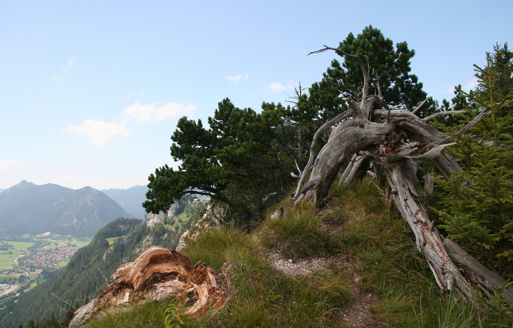 Blick nach Tannheim vom ...