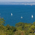 Blick nach Triest / Vue vers Trieste