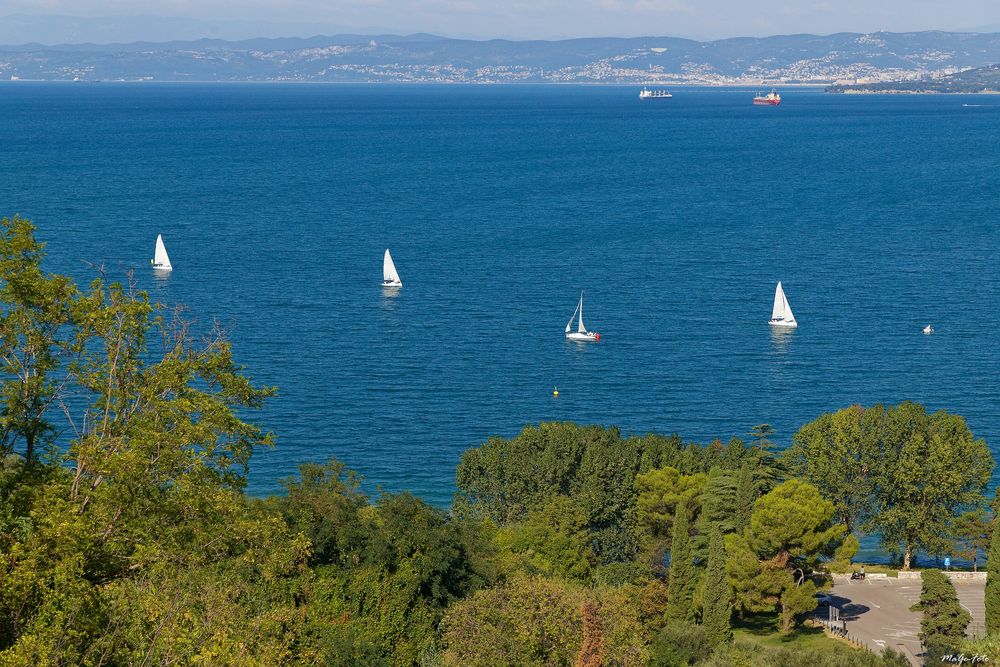 Blick nach Triest / Vue vers Trieste