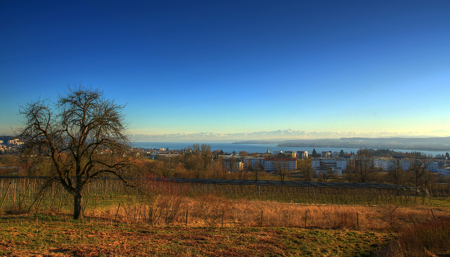 Blick nach Überlingen und Bodensee