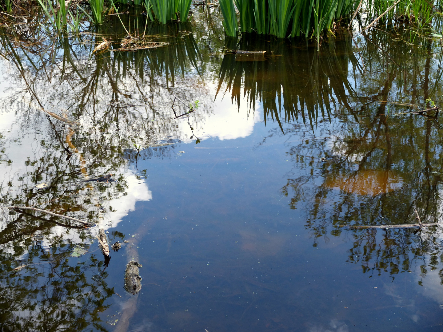 Blick nach unten