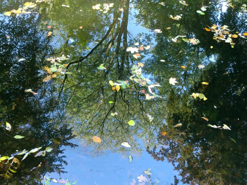 Blick nach unten und oben