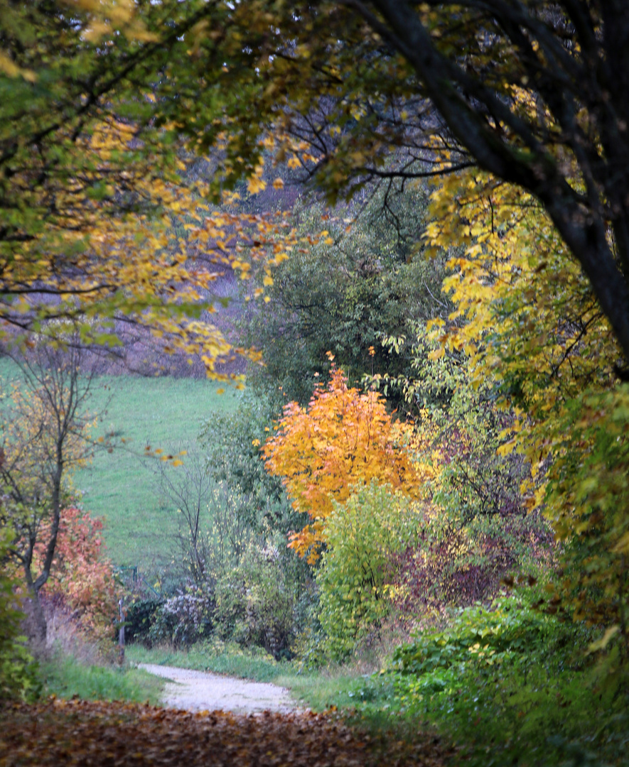 Blick nach vorne