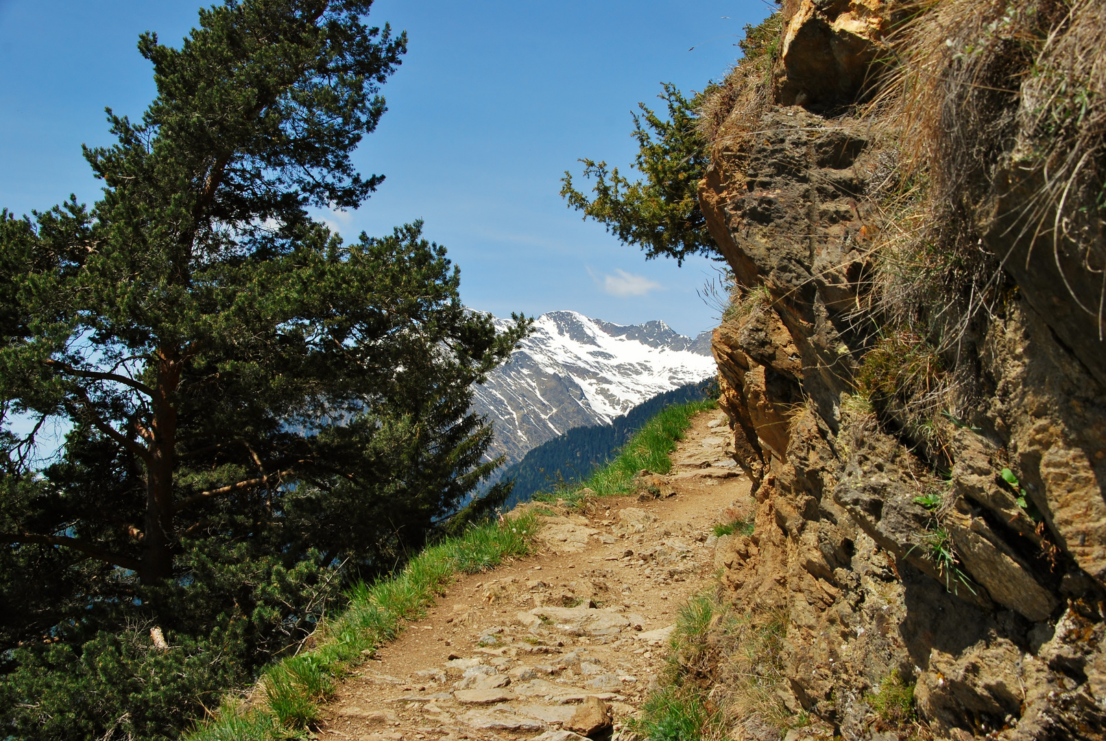 Blick Nach Vorne Blick Nach Vorne