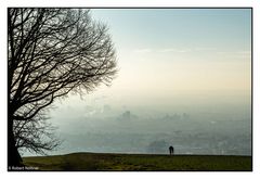 Blick nach Weil am Rhein und Basel