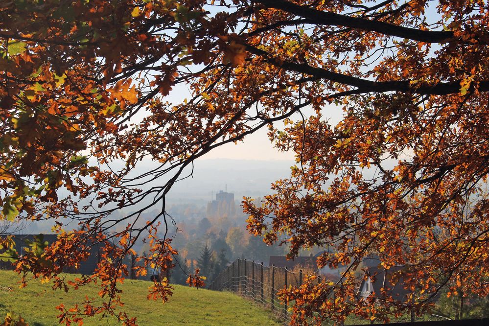 Blick nach Weinböhla