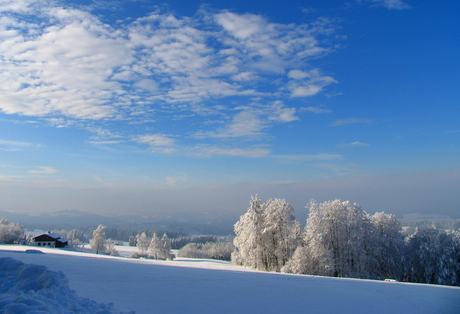 Blick nach Westen