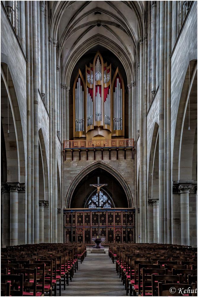 "Blick nach Westen" Im Dom St. Mauritius und Kathariana