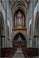 "Blick nach Westen" Im Dom St. Mauritius und Kathariana